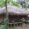 Отель Orchid Resort, фото 4