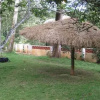 Отель Orchid Resort, фото 12