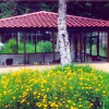 Отель Green Acres Resort, фото 1