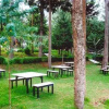 Отель Green Acres Resort, фото 2