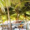 Отель Agatti Island Beach Resort, фото 9