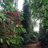 Отель The Jade, фото 12