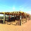 Отель The Caravans Camp, фото 11