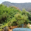 Отель Cape Town Eagle's Nest Guest House, фото 4