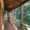 Отель Chocolate Hostel, фото 4