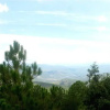 Отель Mountain Trail Resort, фото 4