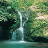 Отель Mountain Trail Resort, фото 23