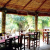 Отель Tiger Camp Resort, фото 6
