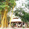 Отель Tiger Camp Resort, фото 10
