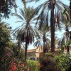 Отель Le Jardin, фото 7