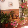 Отель Apartamentos Turísticos Embrujo De Azahar, фото 25