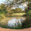 Отель Paradise Lodge, фото 13