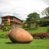 Отель Qawana Lodge, фото 3