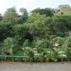 Отель Sai Moreshwar Resort, фото 21