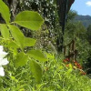 Отель Agriturismo Casa del Bosco, фото 29
