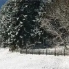 Отель Bucovina Lodge Pension, фото 7
