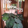 Отель De Lucia Inn, фото 5