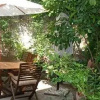 Отель Zeytin Pension, фото 12