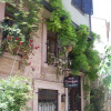 Отель Zeytin Pension, фото 1