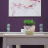 Отель Reyna Violeta Bed & Breakfast, фото 4