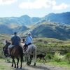 Отель Estancia Altos del Durazno, фото 6