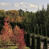 Отель Casa Antucura, фото 12
