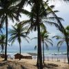 Отель Pousada Toocool na Bahia, фото 7