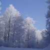 Отель Lailias Mount Resort - Hostel, фото 6