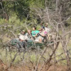 Отель Kwa Mmatau Wildlife Reserve, фото 3