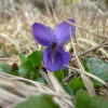 Отель Villa de lArc, фото 2