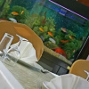 Отель Uzun Jolly Hotel, фото 13