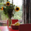 Отель Orchid Grove Country Lodge, фото 13