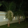 Отель Metro Guest House, фото 11