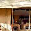 Отель Nairobi Tented Camp, фото 5