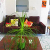 Отель Villas Sacbe Condo Hotel and Beach Club, фото 7