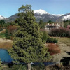 Отель Penon Del Lago Lodge & Resort, фото 9