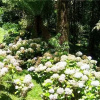 Отель Pousada Villa di Fiori, фото 14