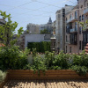 Отель Lush Houses Galata, фото 11