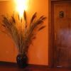 Отель La Hosteria Del Guadarrama, фото 5