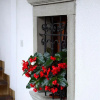 Отель House Klasika, фото 19
