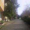 Отель Coskun House Ayasofya, фото 8