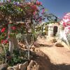 Отель Habiba Camp, фото 1