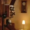 Отель Pension Casa Bunicii, фото 3