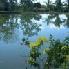 Отель Bonjuá Hotel Fazenda, фото 19