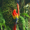 Отель Finca Exotica ecolodge, фото 23