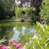 Отель Altes Gasthaus Greve, фото 10