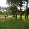 Отель Toucan Lodge, фото 13