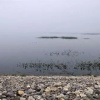 Отель Corbett Woods Resort, фото 19