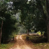 Отель Corbett Woods Resort, фото 18