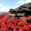 Отель Guest House Jalan-Do, фото 7